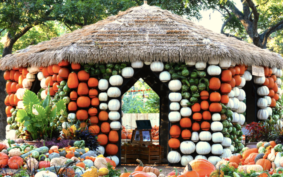 🍂 Fall Festivals & Events in DFW